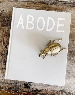 Rustic, White & Wood Mr Pinchy - Stick Nose Beetle Accessories