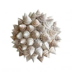 Rustic White & Wood Accessories Spiked Shell Ball