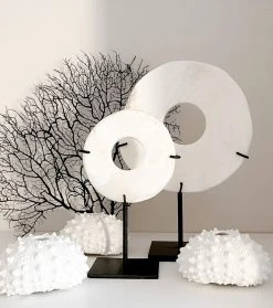 Rustic White & Wood White Polyresin Spiky Sea Urchin Coral