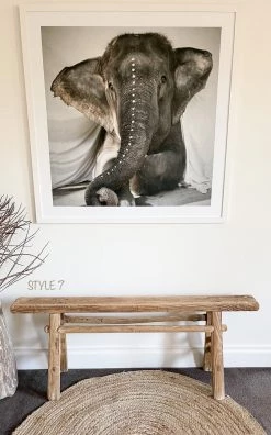 Rustic White & Wood Skinny Elm Bench