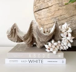 Rustic White & Wood Shell Cluster Tassels - Spiked
