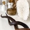 Rustic White & Wood Kudu Horn - Outer (Unpolished) 2 Rustic White & Wood Kudu Horn - Outer (Unpolished)