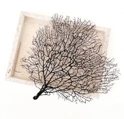 Rustic White & Wood Travertine Tray