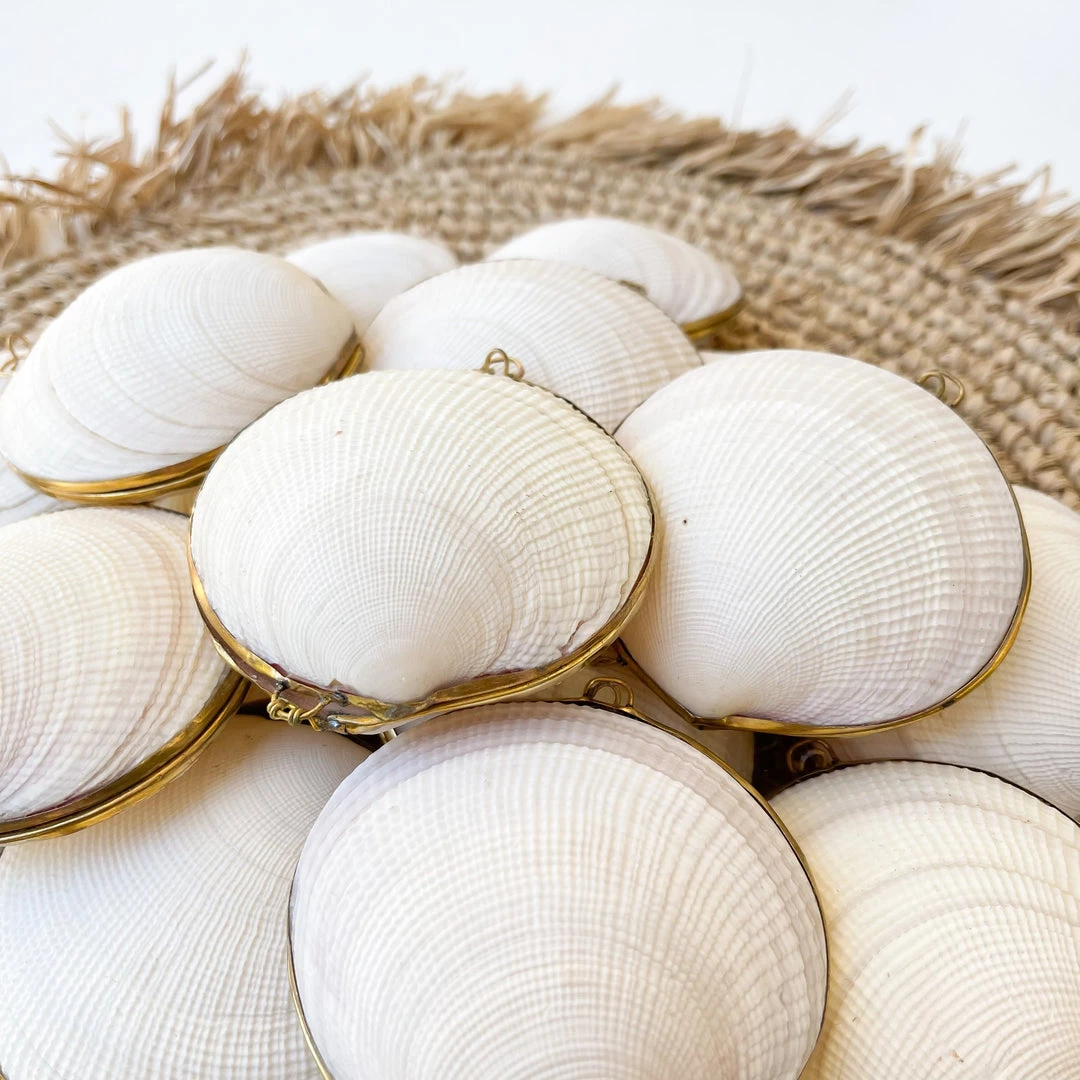 Rustic White & Wood Coastal Decor Shell Purse - Natural 4 Rustic White & Wood Coastal Decor Shell Purse - Natural