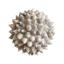 Rustic White & Wood Accessories Spiked Shell Ball