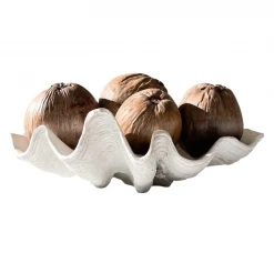 Rustic White & Wood Natural Dried Coconut Coastal Decor 11 Rustic White & Wood Natural Dried Coconut Coastal Decor