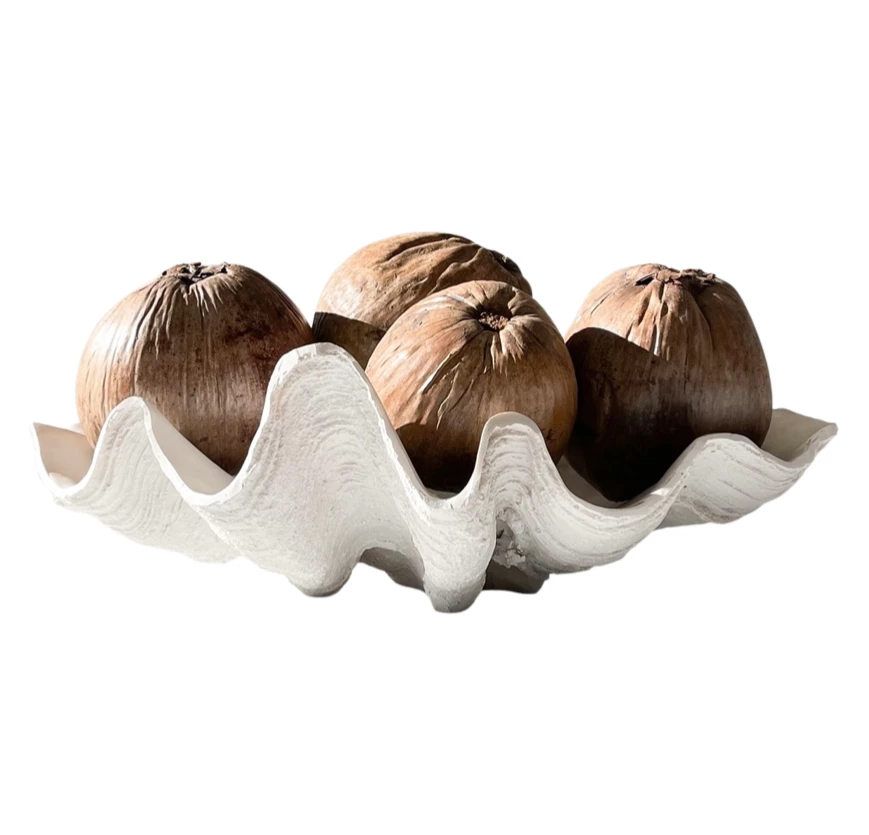 Rustic White & Wood Natural Dried Coconut Coastal Decor 7 Rustic White & Wood Natural Dried Coconut Coastal Decor