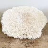Rustic White & Wood Authentic Coral - Plate Coral - Oversized Coastal Decor