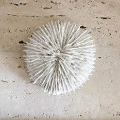 Rustic White & Wood Coastal Decor White Polyresin Fungia Coral