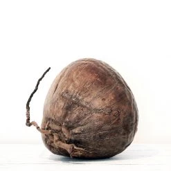 Rustic White & Wood Natural Dried Coconut Coastal Decor