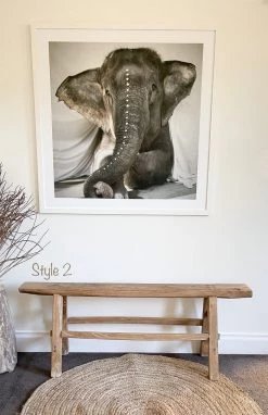 Rustic White & Wood Skinny Elm Bench