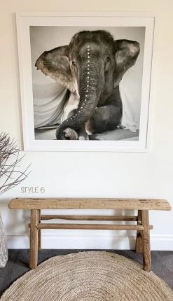 Rustic White & Wood Skinny Elm Bench