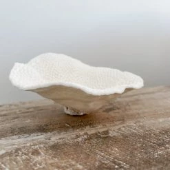 Rustic White & Wood Mini Cup Coral