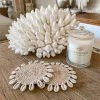 Rustic White & Wood Authentic Coral Pieces - Finger Coral Coastal Decor 1 Rustic White & Wood Authentic Coral Pieces - Finger Coral Coastal Decor