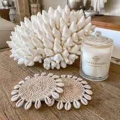 Rustic White & Wood Authentic Coral Pieces - Finger Coral Coastal Decor