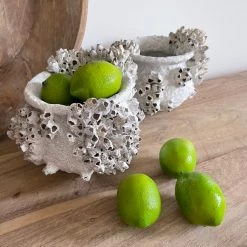 Rustic White & Wood Coastal Decor Barnacle Clustered Pots & Bowls - Various Sizes