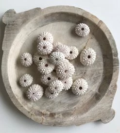 Rustic White & Wood Coastal Decor Sea Urchin - White Knobby