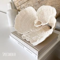 Rustic, White & Wood Turban Vase Coral Coastal Decor