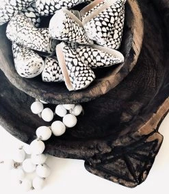 Rustic White & Wood Cone Shells