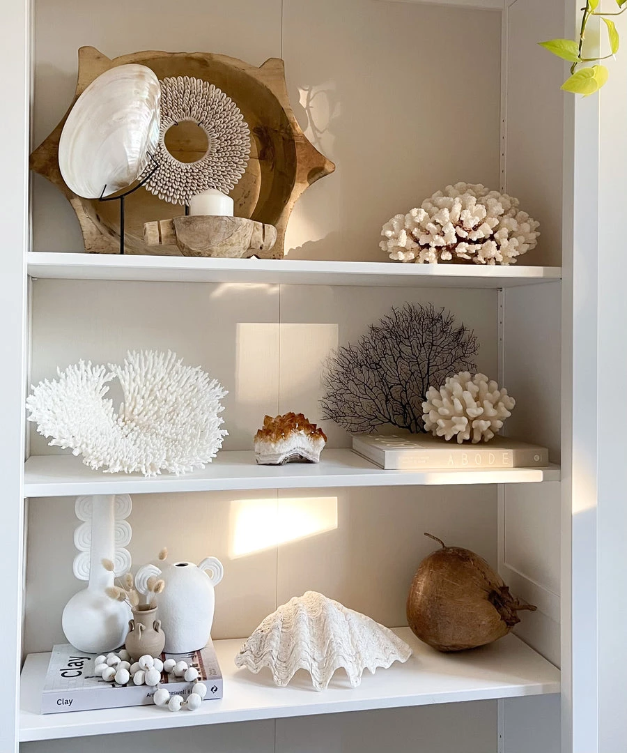 Rustic White & Wood Mother Of Pearl Shell 4 Rustic White & Wood Mother Of Pearl Shell