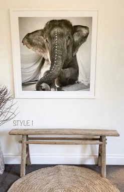 Rustic White & Wood Skinny Elm Bench