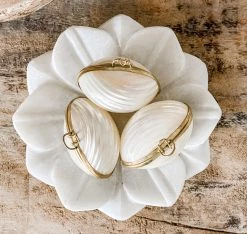 Rustic White & Wood Coastal Decor Mini Shell Purse