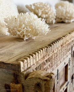 Rustic White & Wood Authentic Coral Pieces - Birdsnest Coral Coastal Decor