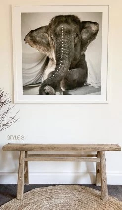 Rustic White & Wood Skinny Elm Bench