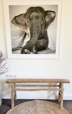 Rustic White & Wood Skinny Elm Bench