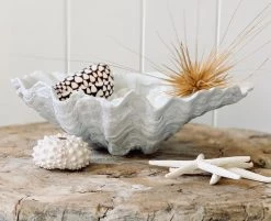 Rustic White & Wood Coastal Decor Columbus Clam - White - Polyresin